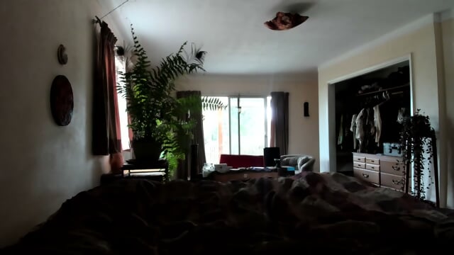 Ar 2026 09 02 Stream